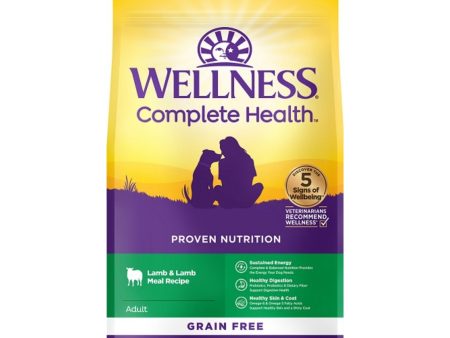 Wellness Complete Health Grain-free  22Lb Lamb Lamb Meal Adult For Cheap