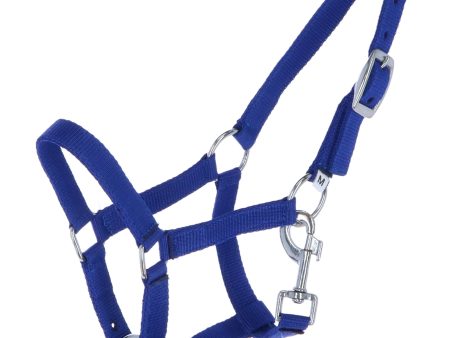 HB Veulenhalster Astrid Royal Blue Online