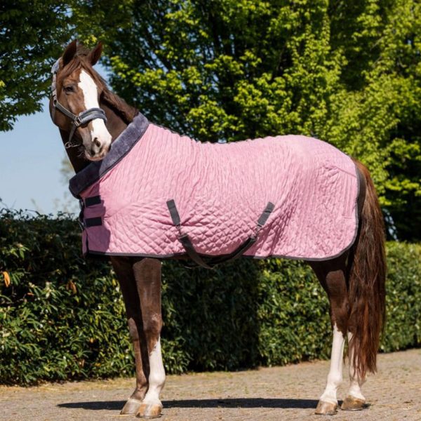 HB Showdeken Velvet Sunset Old Pink on Sale