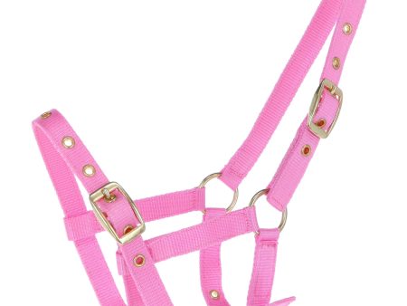 HB Veulenhalster Nylon Roze Online Hot Sale