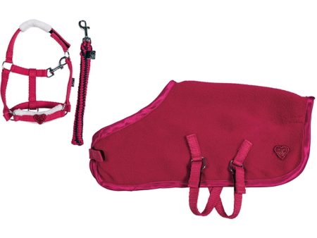 HKM Knuffel Pony Starterset Rood Online Hot Sale