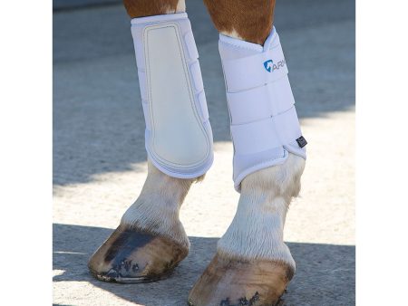 Arma by Shires Beenbeschermers Neopreen White For Cheap