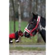 HKM Knuffel Pony Starterset Rood Online Hot Sale