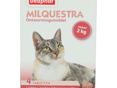 Beaphar Milquestra Kat 2-12kg Online